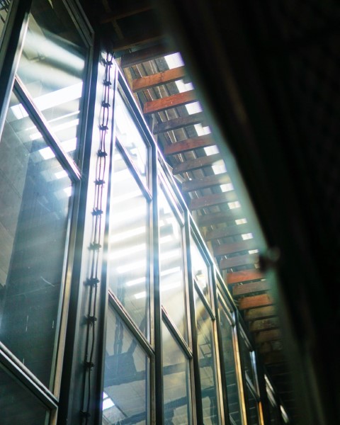 _gallery >